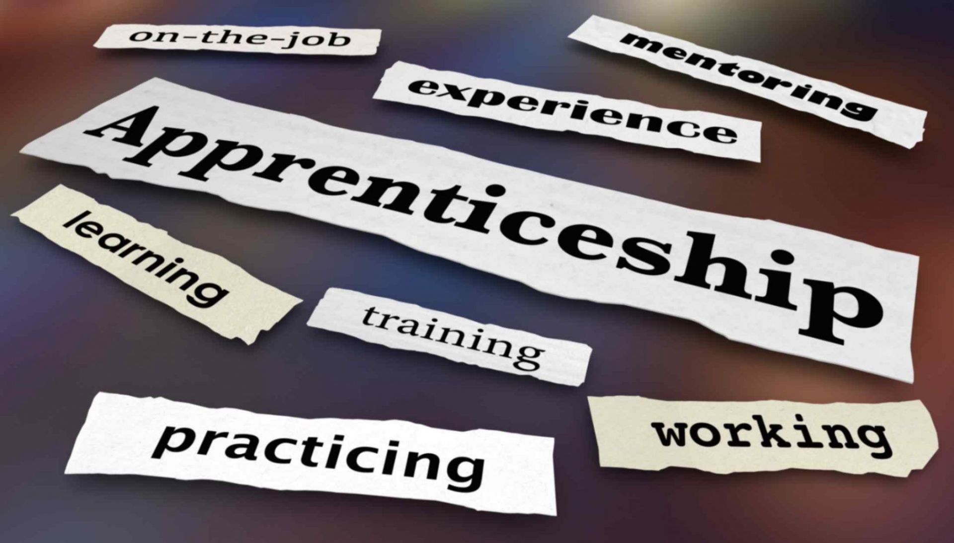 Apprenticeships for Early Leavers from School